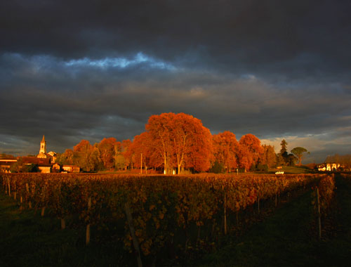 Vin de Loupiac