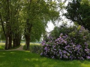 Parc du château Loupiac-Gaudiet