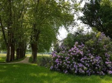 Parc du château Loupiac-Gaudiet